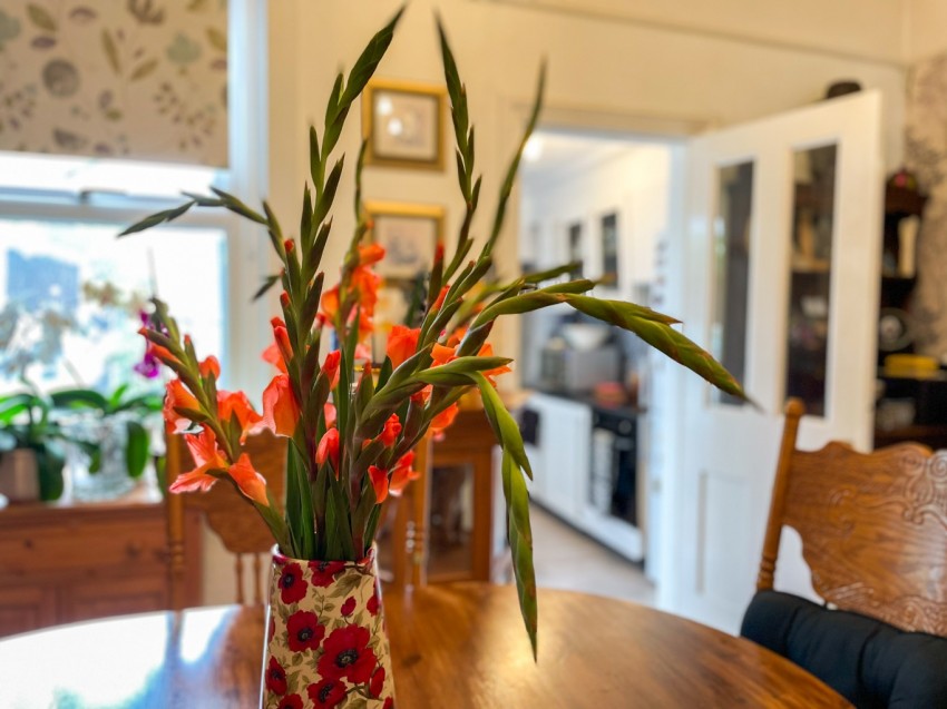Images for Park Avenue, Northfleet, DA11