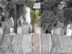 Images for Singlewell Road, Gravesend, Kent, DA11 7PU